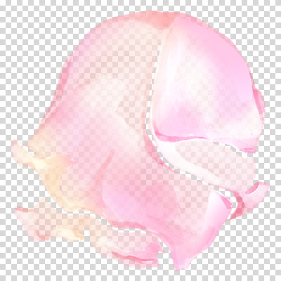 편집이미지 꽃잎 분홍색 붓터치 수채화 누끼 사람없음 장미 번짐 PNG 꽃 컬러 파일형식 효과