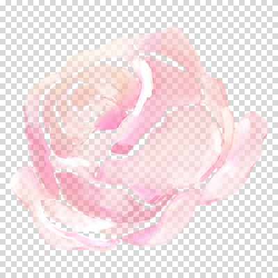 편집이미지 꽃잎 분홍색 붓터치 수채화 누끼 사람없음 장미 번짐 PNG 꽃 컬러 파일형식 효과