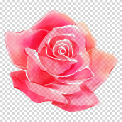 편집이미지 꽃잎 붓터치 수채화 누끼 사람없음 빨간색 장미 번짐 PNG 꽃 컬러 파일형식 효과