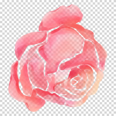 편집이미지 꽃잎 붓터치 수채화 누끼 사람없음 빨간색 장미 번짐 PNG 꽃 컬러 파일형식 효과