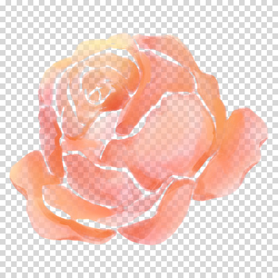편집이미지 꽃잎 붓터치 수채화 누끼 사람없음 장미 번짐 PNG 코랄 꽃 컬러 파일형식 효과