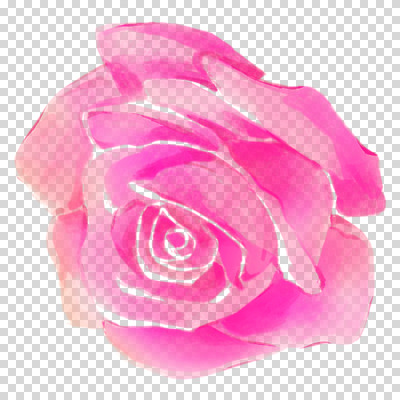 편집이미지 꽃잎 분홍색 붓터치 수채화 누끼 사람없음 장미 번짐 PNG 꽃 컬러 파일형식 효과