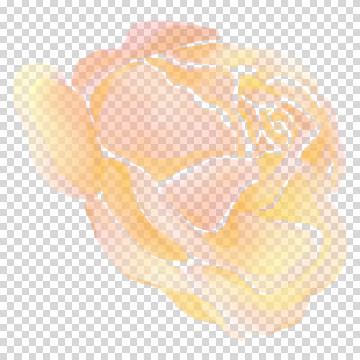 편집이미지 꽃잎 붓터치 수채화 누끼 사람없음 장미 노란색 번짐 PNG 꽃 컬러 파일형식 효과