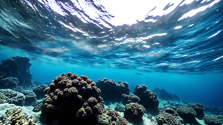 JPG 편집이미지 바다 자연 풍경 사람없음 파란색 바닷속 수중 바위 편집실사 AI포토 AI콘텐츠 컬러 돌_바위 CG 생태계 파일형식