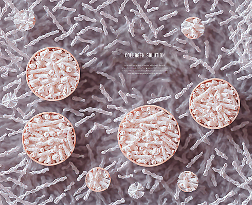 PSD 편집이미지 디자인 사람없음 그래픽 흰색 원형 피부관리 스킨케어 안티에이징 콜라겐 이미지편집 도형 컬러 뷰티 단백질 파일형식