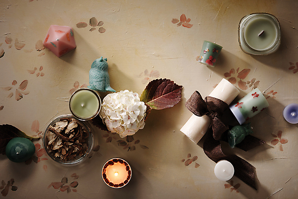 포토 JPG 꽃 잎 사람없음 하이앵글 여러개 다양 오브젝트 향 향초 국내포토 식물 뷰포인트 다수 초 파일형식