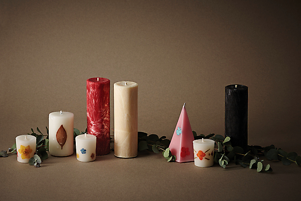 포토 JPG 꽃잎 잎 사람없음 갈색 여러개 다양 오브젝트 향 향초 국내포토 식물 꽃 컬러 다수 초 파일형식