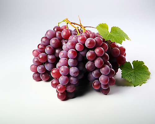 JPG 스튜디오촬영 편집이미지 잎 과일 포도 사람없음 자주색 편집실사 AI포토 AI콘텐츠 식물 컬러 실내 CG 파일형식