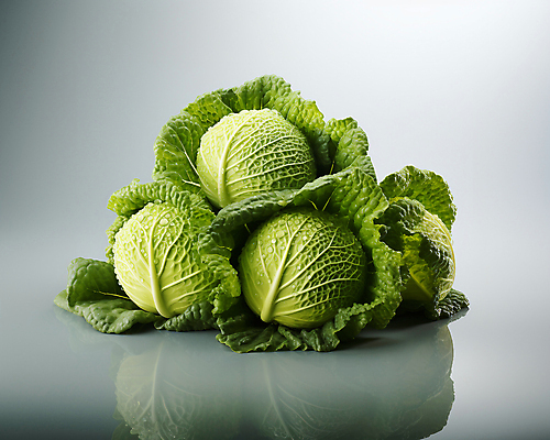 JPG 스튜디오촬영 편집이미지 채소 사람없음 초록색 여러개 양배추 편집실사 AI포토 AI콘텐츠 컬러 다수 실내 CG 파일형식