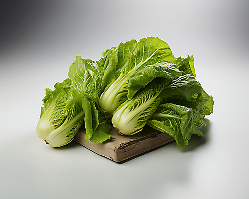JPG 스튜디오촬영 편집이미지 채소 사람없음 초록색 여러개 배추 나무도마 편집실사 AI포토 AI콘텐츠 컬러 다수 도마 실내 목재 CG 파일형식