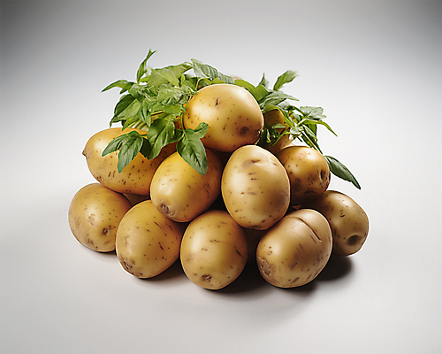 JPG 스튜디오촬영 편집이미지 잎 채소 감자 사람없음 갈색 여러개 편집실사 AI포토 AI콘텐츠 식물 컬러 다수 실내 CG 파일형식