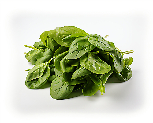 JPG 스튜디오촬영 편집이미지 채소 사람없음 초록색 시금치 편집실사 AI포토 AI콘텐츠 컬러 실내 CG 파일형식
