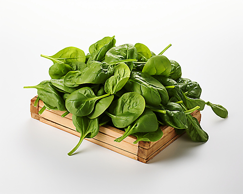 JPG 스튜디오촬영 편집이미지 채소 사람없음 초록색 바구니 담기 시금치 편집실사 AI포토 AI콘텐츠 컬러 모션 실내 CG 파일형식