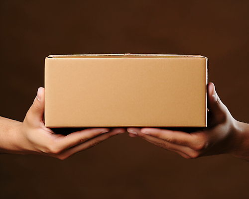 JPG 스튜디오촬영 편집이미지 손 실내 들기 신체부위 상자 택배 택배상자 편집실사 AI인물포토 AI콘텐츠 모션 사람 내부 운송업 CG 파일형식 AI포토