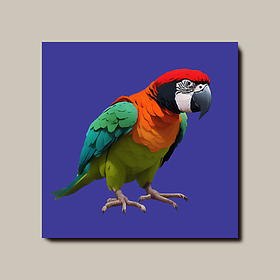 한마리 일러스트 조류 사람없음 보라색 정사각형 앵무새 국내일러스트 AI파일 도형 동물 1 컬러 파일형식 벡터