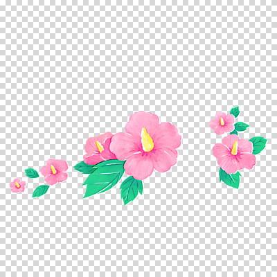 편집이미지 분홍색 잎 누끼 사람없음 무궁화 PNG 식물 꽃 컬러 파일형식