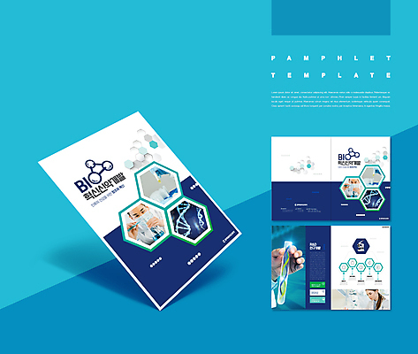 서양인 템플릿 손 여자 남자 ZIP 세포 실험 들기 팜플렛 상반신 20대 성인 신체부위 세명 한국인 붓기 DNA 생명공학 연구원 남색 시험관 비커 원자 조제 바이오 실린더 성인만 인디자인 신약개발 신약_의학 IDML PDF 이미지템플릿 외국인 직업 컬러 의학 모션 실험기구 사람 동양인 청년 약 만들기 개발 파일형식