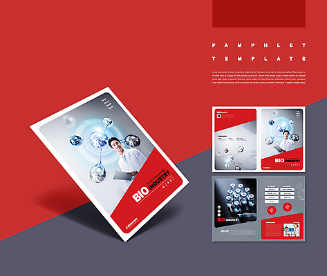 서양인 템플릿 여자 남자 ZIP 세포 실험 주사기 들기 팜플렛 여러명 상반신 20대 성인 빨간색 회색 한국인 기록 DNA 생명공학 연구원 조제 QR코드 바이오 백신 서류판 성인만 인디자인 바이알 신약_의학 IDML PDF 이미지템플릿 외국인 직업 컬러 다수 의학 의료기기 모션 사람 동양인 청년 약 사무용품 의료용품 만들기 파일형식