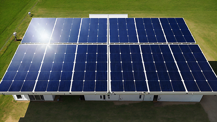 JPG 편집이미지 그림자 잔디 사람없음 빛 햇빛 그린에너지 에코 태양에너지 집열판 재생에너지 편집실사 AI포토 AI콘텐츠 에너지의날 식물 기념일 태양 환경 에너지 CG 파일형식