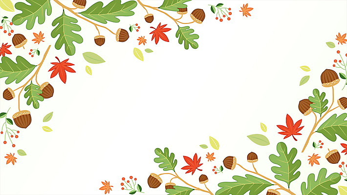 백그라운드 단풍 낙엽 잎 사람없음 가을 흰색 나뭇가지 도토리 카피스페이스 아기자기 모션그래픽 MP4 MOV 나무 식물 계절 컬러 컨셉 공백 견과류 동영상 파일형식