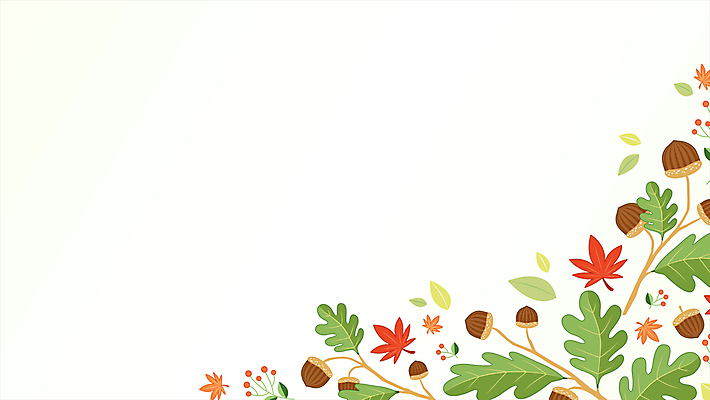 백그라운드 단풍 낙엽 잎 사람없음 가을 흰색 나뭇가지 도토리 카피스페이스 아기자기 모션그래픽 MP4 MOV 나무 식물 계절 컬러 컨셉 공백 견과류 동영상 파일형식