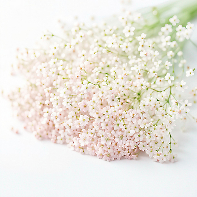 JPG 편집이미지 꽃 꽃다발 사람없음 여름 봄 디지털합성 편집실사 AI포토 AI콘텐츠 식물 계절 CG 파일형식