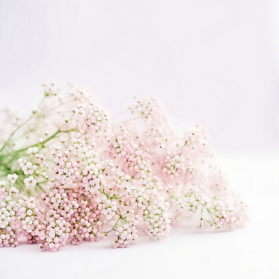 JPG 편집이미지 꽃 분홍색 꽃다발 사람없음 여름 봄 디지털합성 편집실사 AI포토 AI콘텐츠 식물 계절 컬러 CG 파일형식