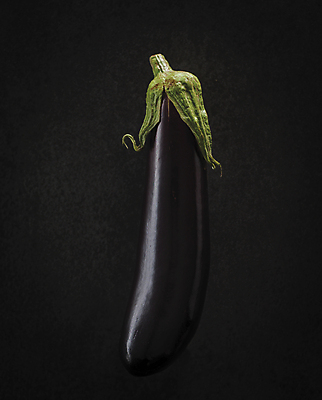 포토 JPG 식재료 가지 사람없음 농작물 검은색 국내포토 컬러 농업 채소 파일형식