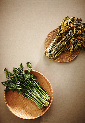 포토 JPG 식재료 건조 사람없음 하이앵글 소쿠리 받침대 말린음식 열무 우거지 국내포토 음식 뷰포인트 바구니 무 파일형식