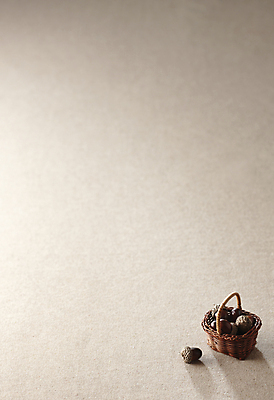 포토 JPG 백그라운드 사람없음 바구니 작음 도토리 미니 카피스페이스 갈색배경 국내포토 갈색 공백 견과류 크기 파일형식