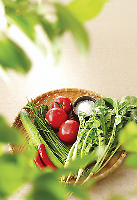 포토 JPG 잎 토마토 오이 사람없음 농작물 바구니 소쿠리 소프트포커스 홍고추 소금 부추 열무 국내포토 식물 농업 채소 고추 촬영기법 무 파일형식