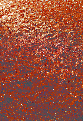 포토 JPG 백그라운드 사람없음 농경지 땅 질감 거름 적갈색 국내포토 농장 갈색 파일형식