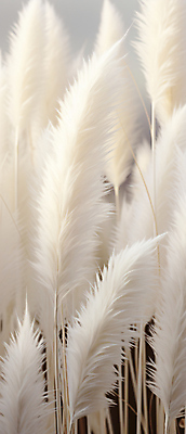 JPG 편집이미지 자연 풍경 사람없음 가을 흰색 팜파스그라스 편집실사 AI포토 AI콘텐츠 식물 계절 컬러 CG 생태계 파일형식