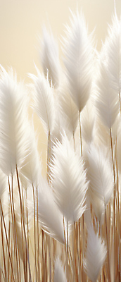 JPG 편집이미지 자연 풍경 사람없음 가을 베이지색 팜파스그라스 편집실사 AI포토 AI콘텐츠 식물 계절 컬러 CG 생태계 파일형식