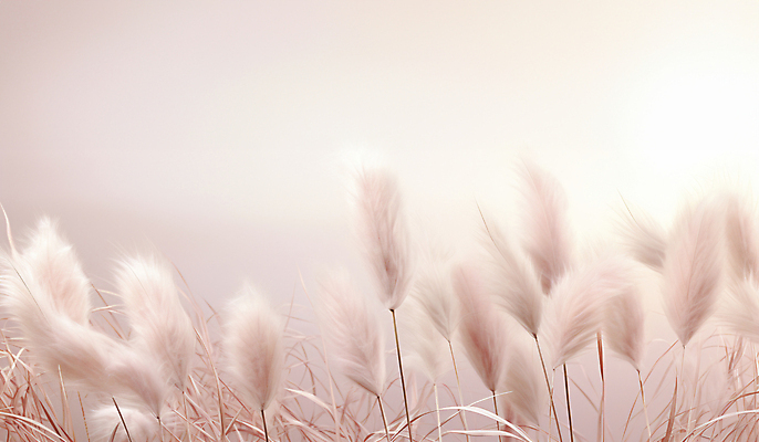 JPG 편집이미지 분홍색 자연 풍경 사람없음 가을 팜파스그라스 편집실사 AI포토 AI콘텐츠 식물 계절 컬러 CG 생태계 파일형식