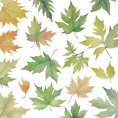 단풍 낙엽 일러스트 붓터치 나뭇잎 수채화 사람없음 초록색 번짐 국내일러스트 AI파일 컬러 잎 파일형식 벡터 효과