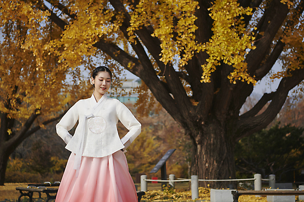 포토 JPG 주간 한국전통 여자 서울 한명 미소 상반신 20대 성인 야외 앞모습 한국인 가을 한복 경복궁 은행나무 단아함 성인여자한명만 내려보기 국내포토 자연요소 나무 1 전통 계절 뷰포인트 모션 한국 표정 사람 동양인 청년 궁전 전통의상 여자한명만 성인여자만 파일형식