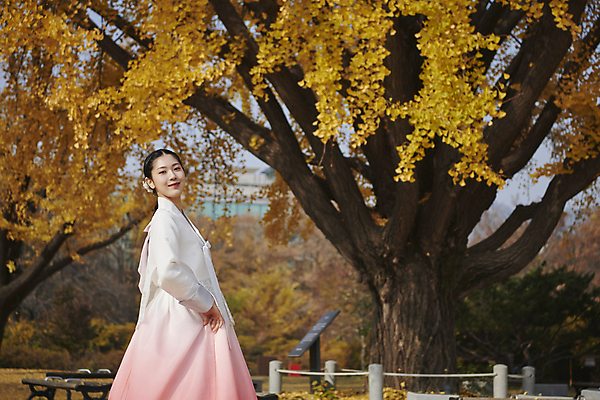 포토 JPG 주간 한국전통 여자 서울 한명 미소 상반신 20대 성인 야외 옆모습 한국인 가을 한복 경복궁 은행나무 단아함 성인여자한명만 국내포토 자연요소 나무 1 전통 계절 뷰포인트 한국 표정 사람 동양인 청년 궁전 전통의상 여자한명만 성인여자만 파일형식