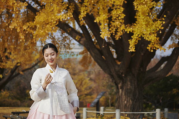 포토 JPG 주간 한국전통 여자 낙엽 서울 한명 미소 들기 상반신 20대 성인 야외 앞모습 한국인 가을 잡기 한복 은행잎 경복궁 은행나무 단아함 성인여자한명만 내려보기 국내포토 자연요소 나무 1 전통 계절 뷰포인트 잎 모션 한국 표정 사람 동양인 청년 궁전 전통의상 여자한명만 성인여자만 파일형식