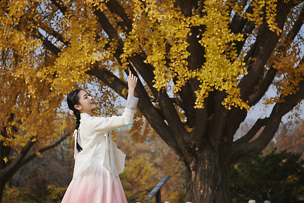 포토 JPG 주간 한국전통 여자 서울 한명 손짓 상반신 20대 성인 야외 옆모습 손들기 한국인 가을 한복 고개들기 경복궁 은행나무 단아함 성인여자한명만 국내포토 자연요소 나무 1 전통 계절 뷰포인트 모션 한국 사람 동양인 청년 궁전 전통의상 여자한명만 성인여자만 파일형식