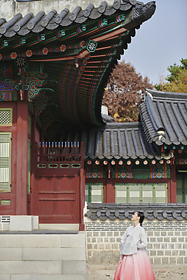 포토 JPG 주간 한국전통 응시 여자 서울 한명 상반신 20대 성인 야외 옆모습 한국인 올려보기 가을 한복 경복궁 단아함 성인여자한명만 국내포토 자연요소 1 전통 시선 계절 뷰포인트 모션 한국 사람 동양인 청년 궁전 전통의상 여자한명만 성인여자만 파일형식