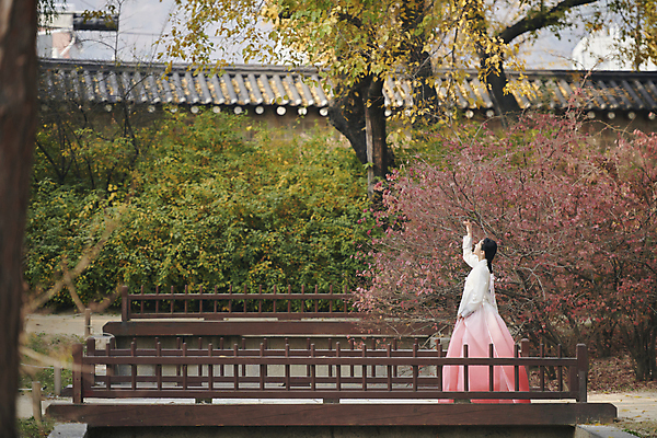 포토 JPG 주간 전신 한국전통 여자 서울 한명 서기 손짓 20대 성인 야외 옆모습 손들기 한국인 올려보기 가을 한복 경복궁 건너기 단아함 가교 성인여자한명만 국내포토 자연요소 1 전통 건축물 계절 뷰포인트 모션 한국 사람 동양인 청년 궁전 전통의상 여자한명만 성인여자만 파일형식