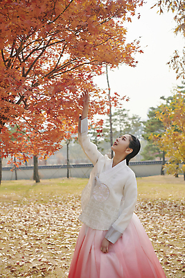 포토 JPG 주간 한국전통 응시 여자 단풍 단풍나무 서울 한명 상반신 20대 성인 야외 옆모습 손들기 한국인 올려보기 가을 한복 경복궁 단아함 단풍놀이 성인여자한명만 국내포토 자연요소 나무 1 전통 시선 계절 뷰포인트 잎 모션 한국 사람 동양인 청년 소풍 궁전 전통의상 여자한명만 성인여자만 파일형식