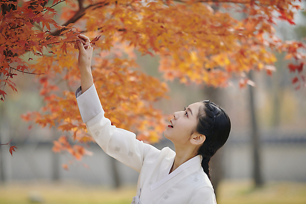 포토 JPG 주간 한국전통 여자 단풍 단풍나무 서울 한명 상반신 20대 성인 야외 옆모습 한국인 올려보기 가을 잡기 한복 고개들기 경복궁 단아함 단풍놀이 성인여자한명만 국내포토 자연요소 나무 1 전통 계절 뷰포인트 잎 모션 한국 사람 동양인 청년 소풍 궁전 전통의상 여자한명만 성인여자만 파일형식