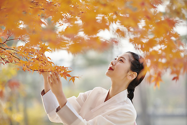 포토 JPG 주간 한국전통 여자 단풍 단풍나무 서울 한명 미소 근접촬영 상반신 20대 성인 야외 옆모습 아웃포커스 한국인 올려보기 가을 잡기 소프트포커스 한복 고개들기 경복궁 단아함 단풍놀이 성인여자한명만 국내포토 자연요소 나무 1 전통 계절 뷰포인트 잎 모션 한국 촬영기법 표정 사람 동양인 청년 소풍 궁전 전통의상 여자한명만 성인여자만 파일형식