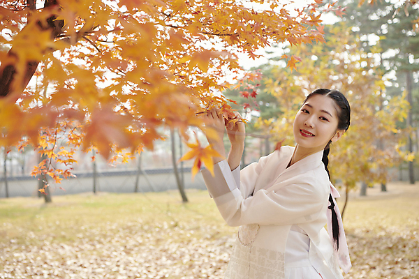 포토 JPG 주간 한국전통 응시 여자 단풍 단풍나무 서울 한명 미소 상반신 20대 성인 야외 옆모습 한국인 가을 잡기 한복 경복궁 단아함 단풍놀이 성인여자한명만 국내포토 자연요소 나무 1 전통 시선 계절 뷰포인트 잎 모션 한국 표정 사람 동양인 청년 소풍 궁전 전통의상 여자한명만 성인여자만 파일형식
