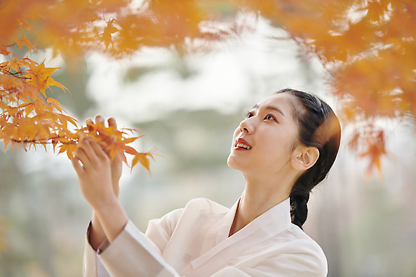 포토 JPG 주간 한국전통 여자 단풍 단풍나무 서울 한명 미소 근접촬영 상반신 20대 성인 야외 옆모습 아웃포커스 한국인 올려보기 가을 잡기 한복 고개들기 경복궁 단아함 단풍놀이 성인여자한명만 국내포토 자연요소 나무 1 전통 계절 뷰포인트 잎 모션 한국 촬영기법 표정 사람 동양인 청년 소풍 궁전 전통의상 여자한명만 성인여자만 파일형식