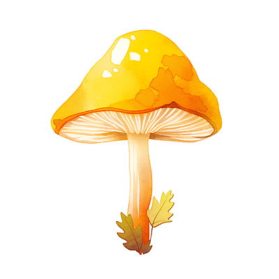 JPG 잎 일러스트 수채화 사람없음 노란색 버섯 가을 국내일러스트 AI일러스트 AI콘텐츠 식물 계절 컬러 파일형식