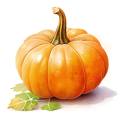 JPG 잎 채소 일러스트 호박 수채화 사람없음 주황색 가을 국내일러스트 AI일러스트 AI콘텐츠 식물 계절 컬러 파일형식
