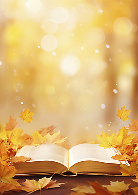 JPG 편집이미지 단풍 낙엽 자연 사람없음 책 반짝임 가을풍경 가을 보케 블러 편집실사 AI포토 AI콘텐츠 계절 잎 모션 풍경 CG 생태계 파일형식 가을_계절